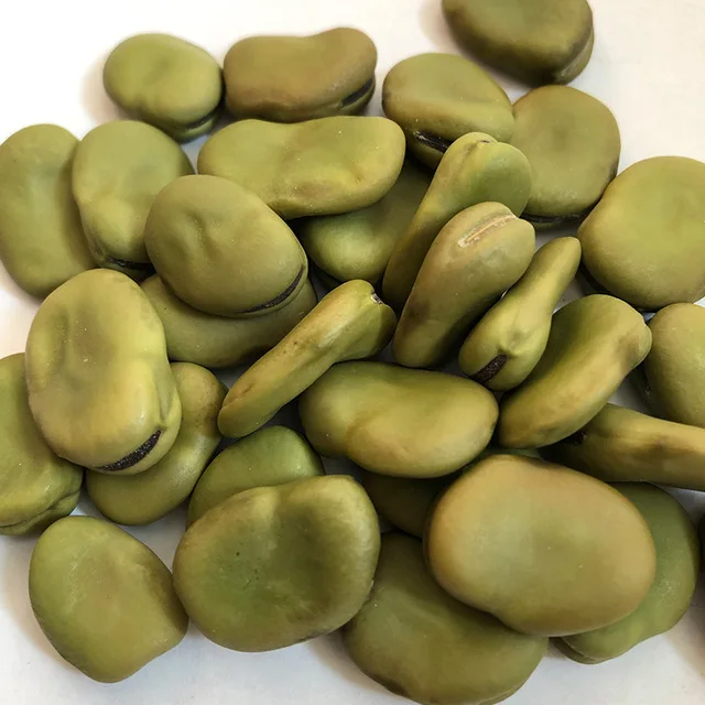 Broad Beans high quality dry raw fresh frozen Bean fava bean green iqf whole split broad beans vicia