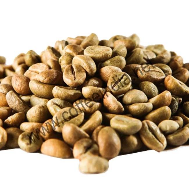 
Arabica Coffee Bean Green for Jordan Market ROBUSTA COMMON 
