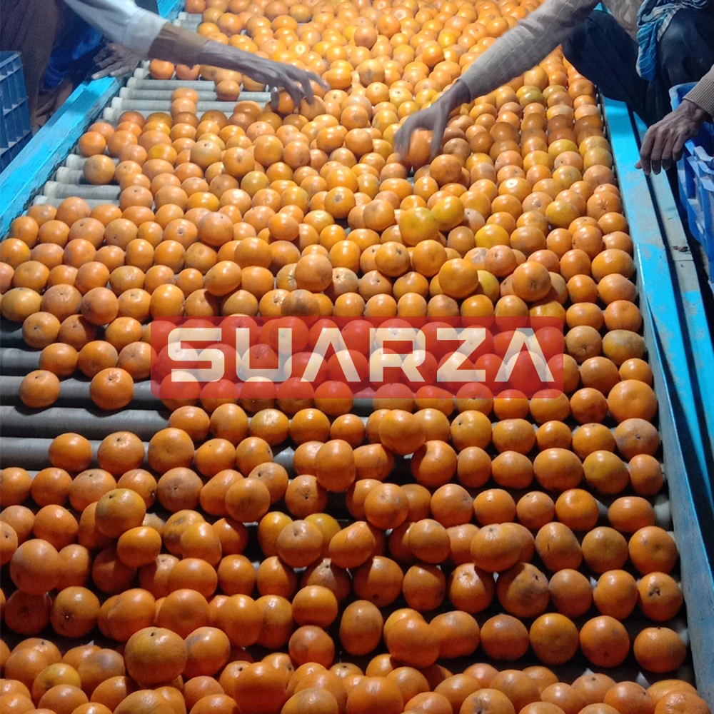 Свежий по цене Пакистан Sargodha Kinnow оптом Свежие Мандарины Kinno пакистанский Kino мандарин саргоа оранжевый цена