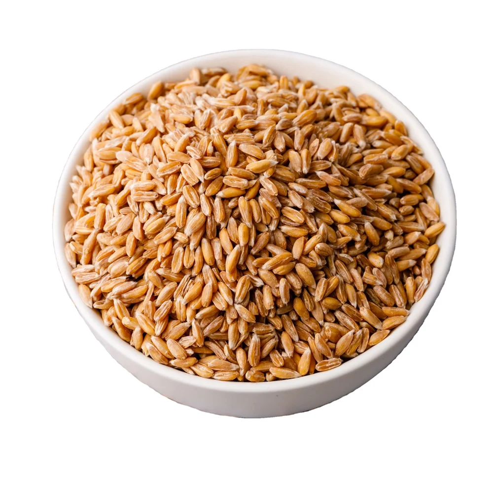 Wheat Grain in bulk / hight quality wheat, whole nutrition grain for export