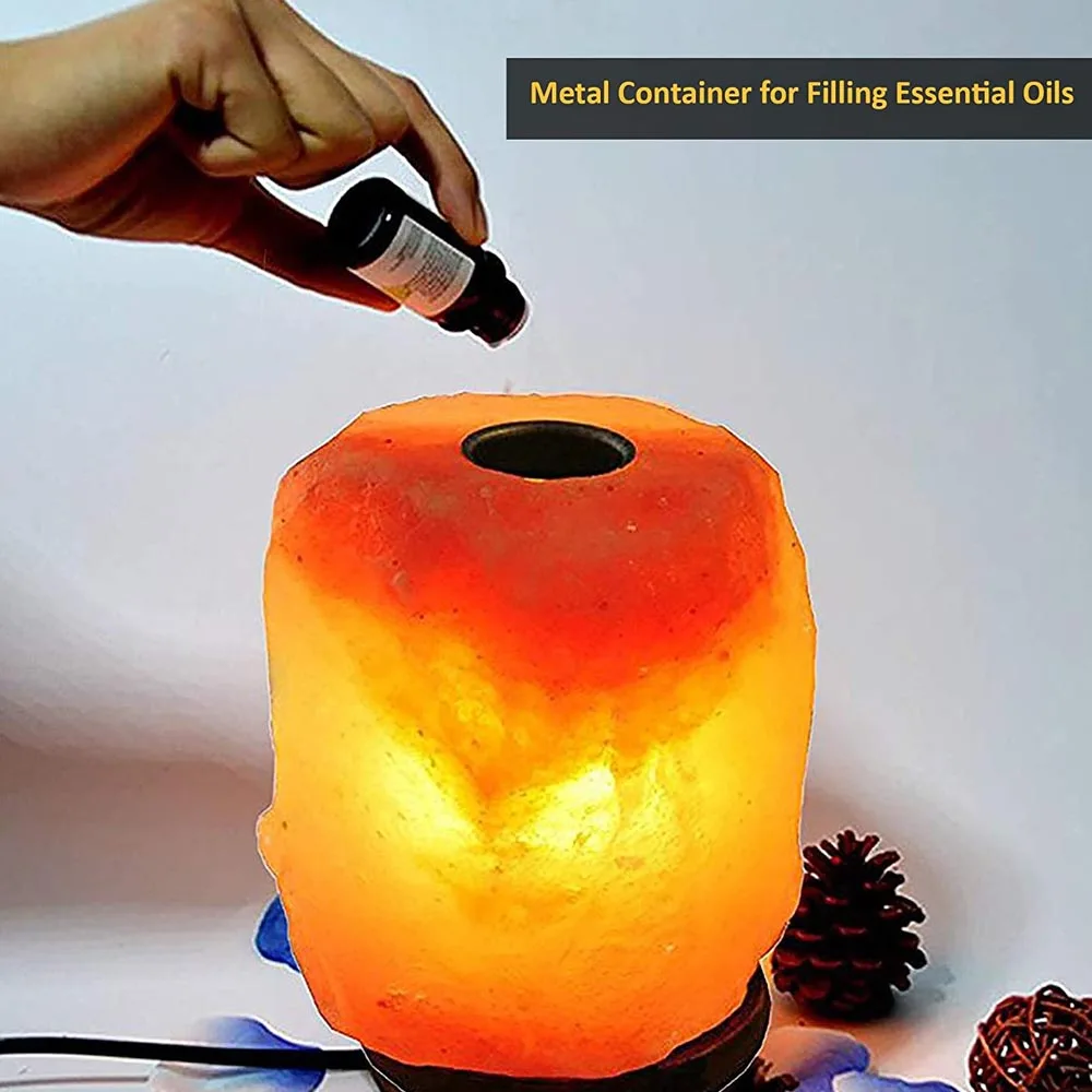 Electric LED Warmer Burner Incense stone Salt Aroma Lamp