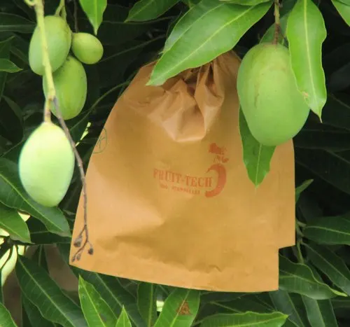 Mango Carbon Waxed Coat Fruit Cover Growing Protection Bags
