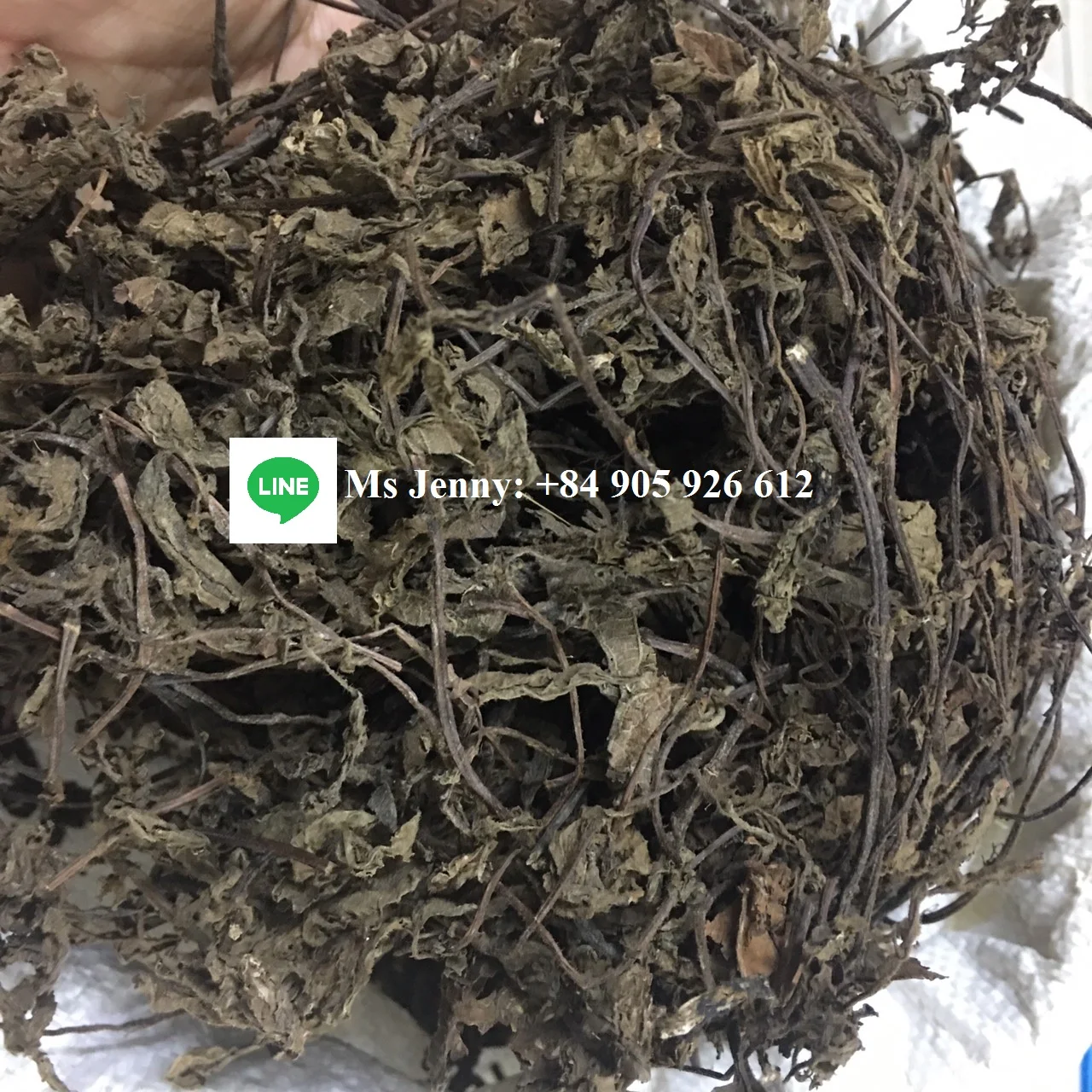  DRIED JELLY GRASS PREMIUM