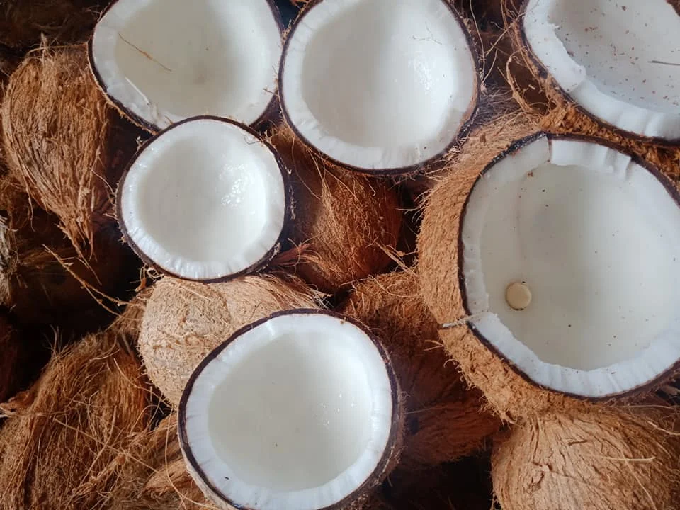 
COCONUT DRIED COCONUT CHEAP PRICE - Ms Angela +84 896 683 264 
