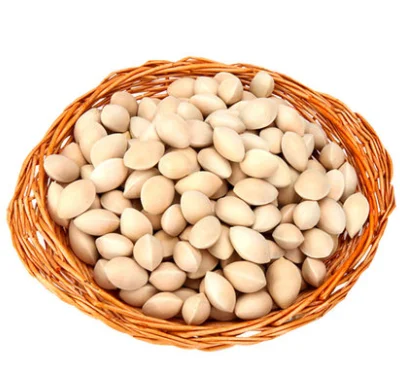 
Bai Guo Best Price dried Quality Ginkgo Nuts For Sale 
