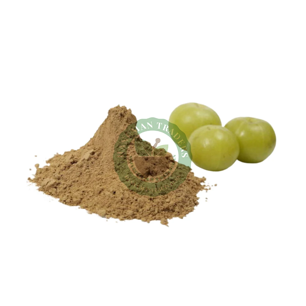 Premium Quality Natural Organic Indian Gooseberry Amla Powder For Hair Top Quality Bulk Supplier From India