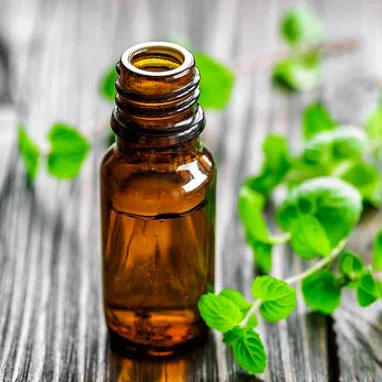 Bulk Sale Top Grade Peppermint Essential Oil Supplier Peppermint Organic Oil in India Oil Manufacturer for Export