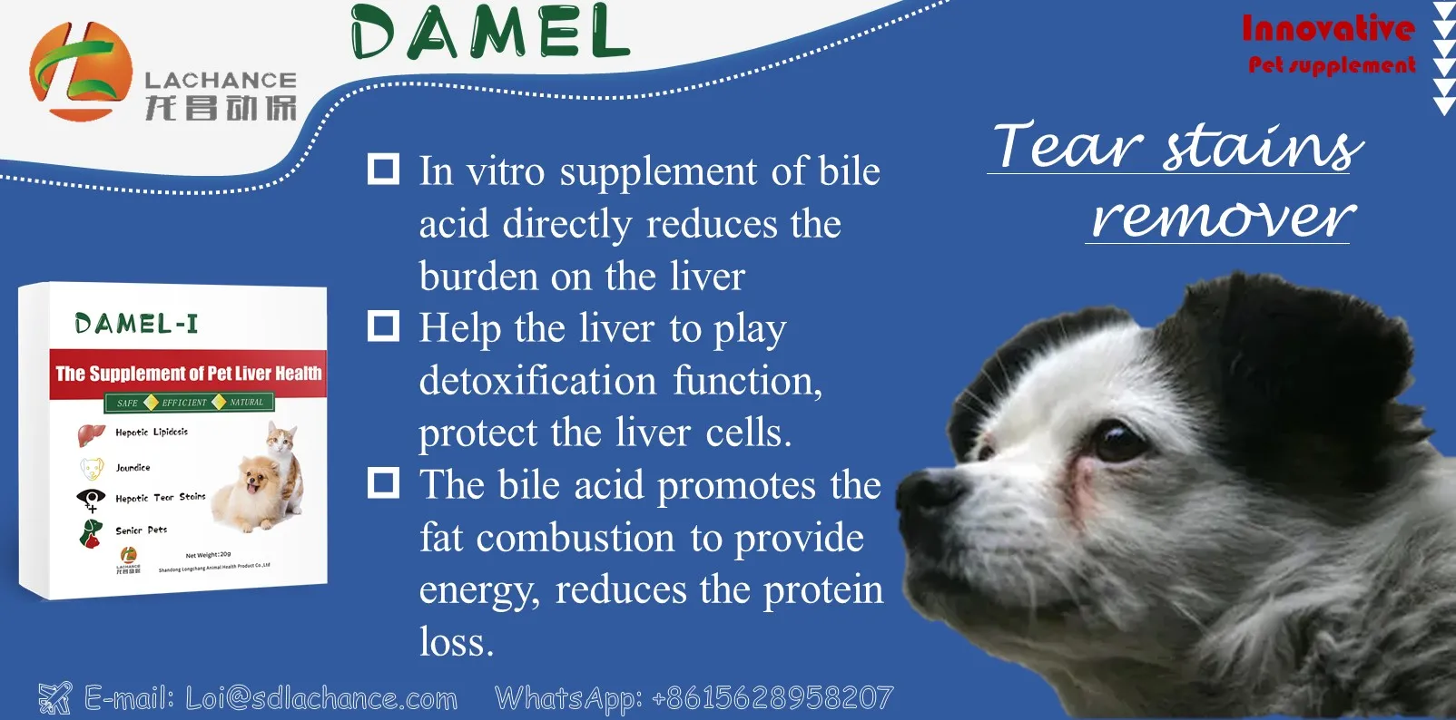 Dog Nutrient digestion Health Supplement with Patent | care about liver and gallbladder health | prevent liver diseases