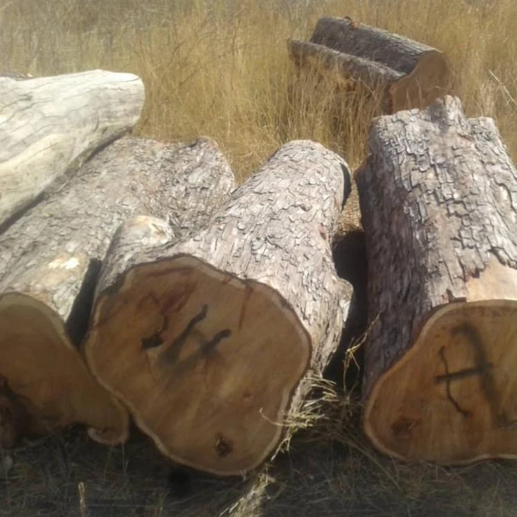 
 KILN DRIED FIRE WOOD HARDWOOD FSC CERTIFIED 10-15 % MOISTURE OAK BEECH ASH  