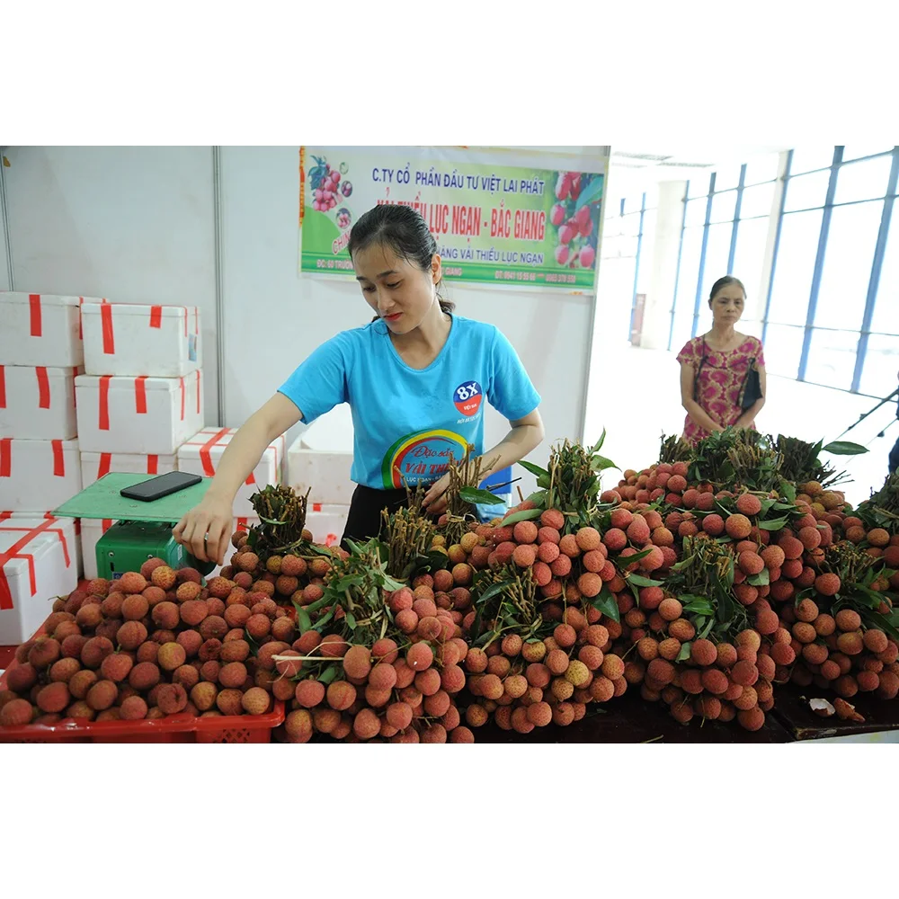  Высококачественная специальная кухня Органическая личи класса А с приятным вкусом из Вьетнама