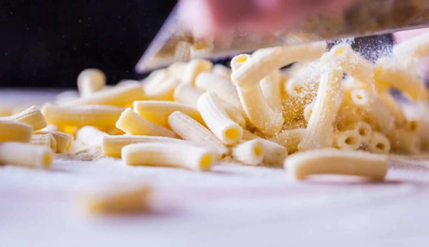 100% made in Italy soft wheat flour and semolina Senatore Cappelli 25kg organic mix for pasta fresh