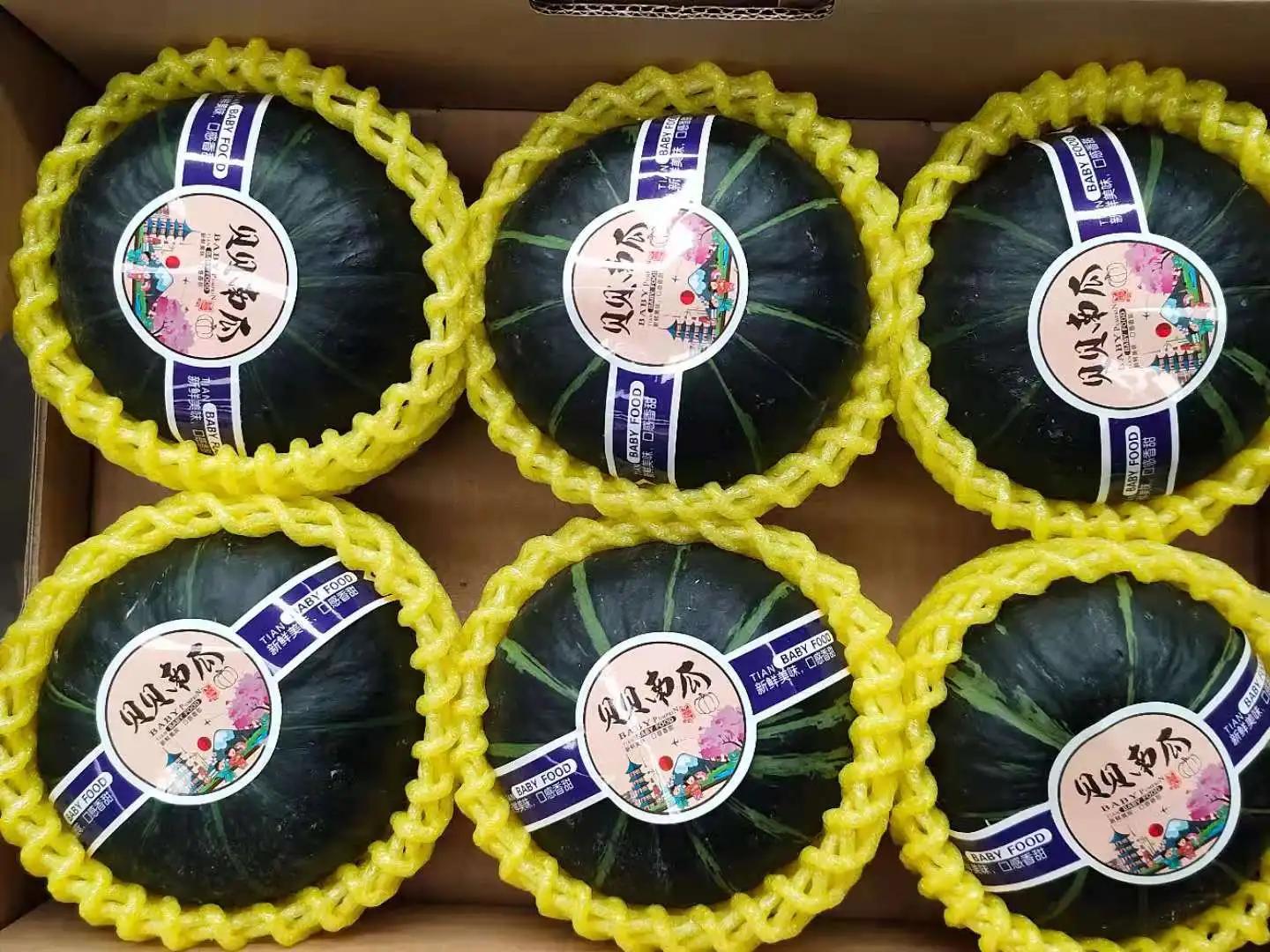 fresh Pumpkin sweet pumpkin