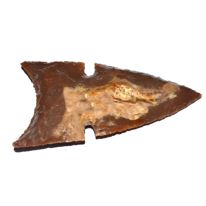 Wholesaler of Polished Clovis Agate Arrowheads : Polished Clovis Agate Arrowheads For Sale