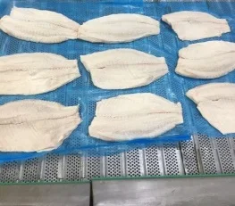 
IQF Freezing Bag Packaging 1Kilogram Weight per Bag Meat Part Tilapia export from Vietnam 