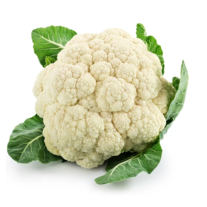 Wholesale Best Quality Fresh Cauliflower For Sale In Cheap Price (10000006668424)