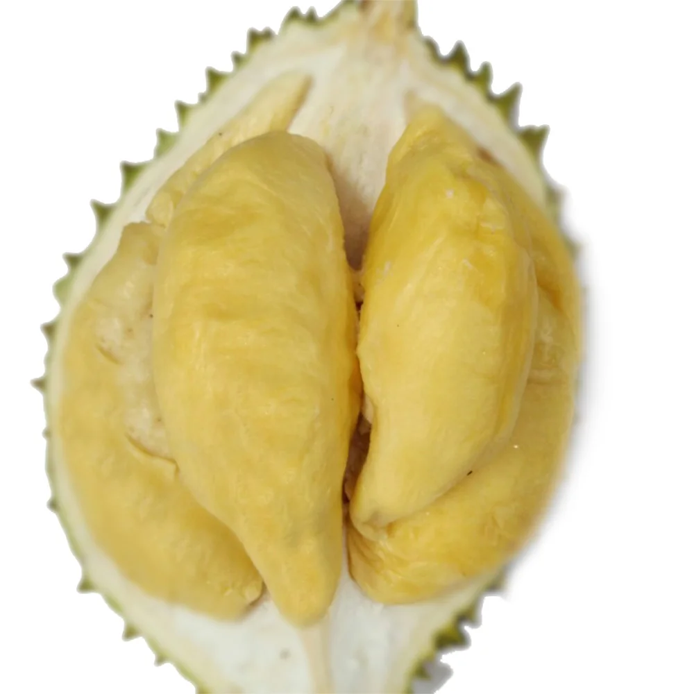 PREMIUM PRODUCT KING OF FRUIT - FROZEN DURIAN RI6  MONTHONG WITH SEED  ORIGIN VIETNAM