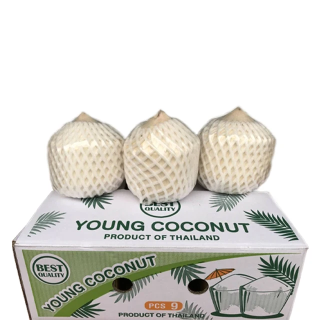Most Trustworthy Manufacturer Fresh fruit young coconut Natural Drinks Product of Thailand