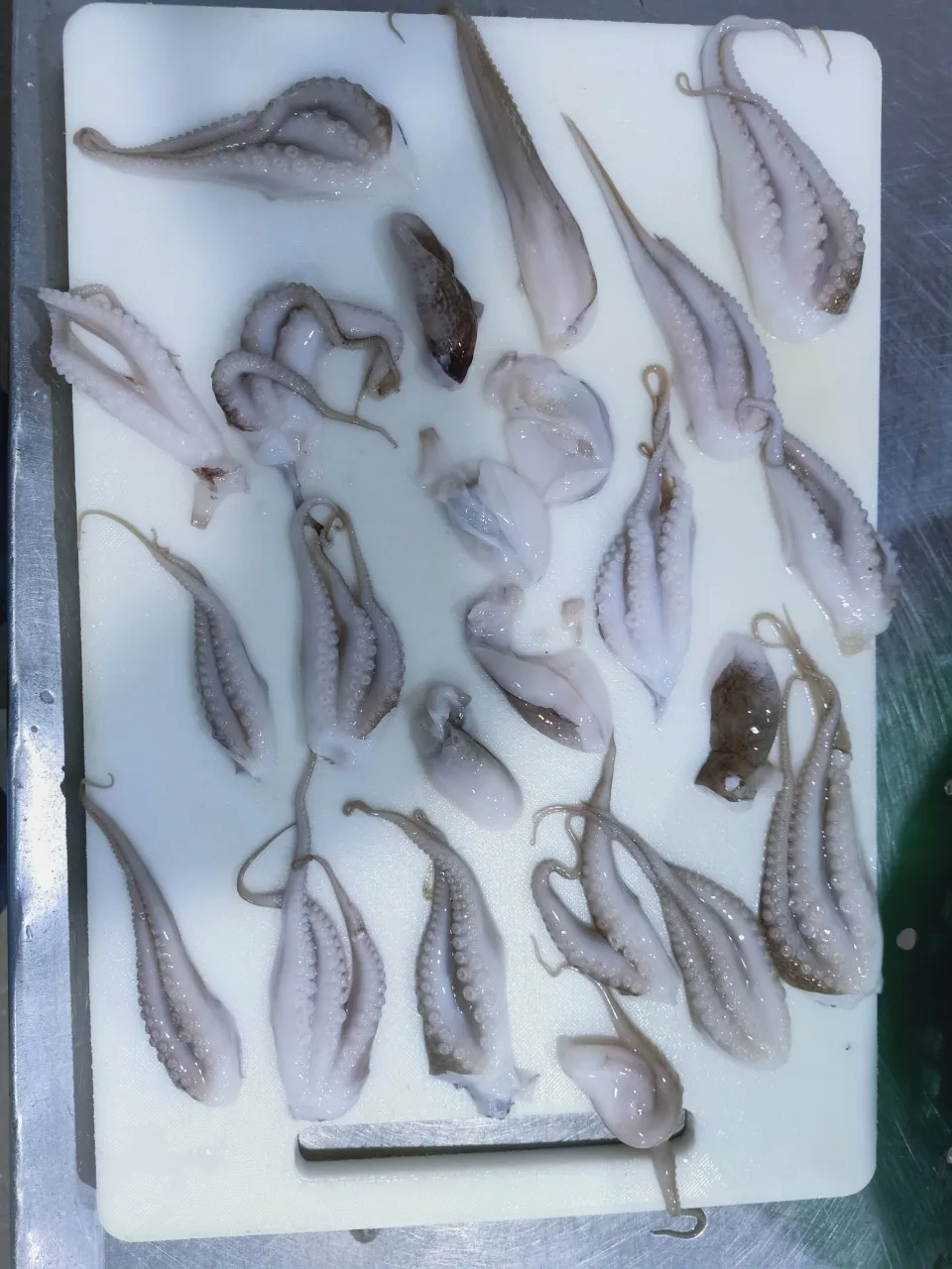 Exporting Bulk Reasonable Price Frozen Whole Baby Octopus From Vietnam Seafood