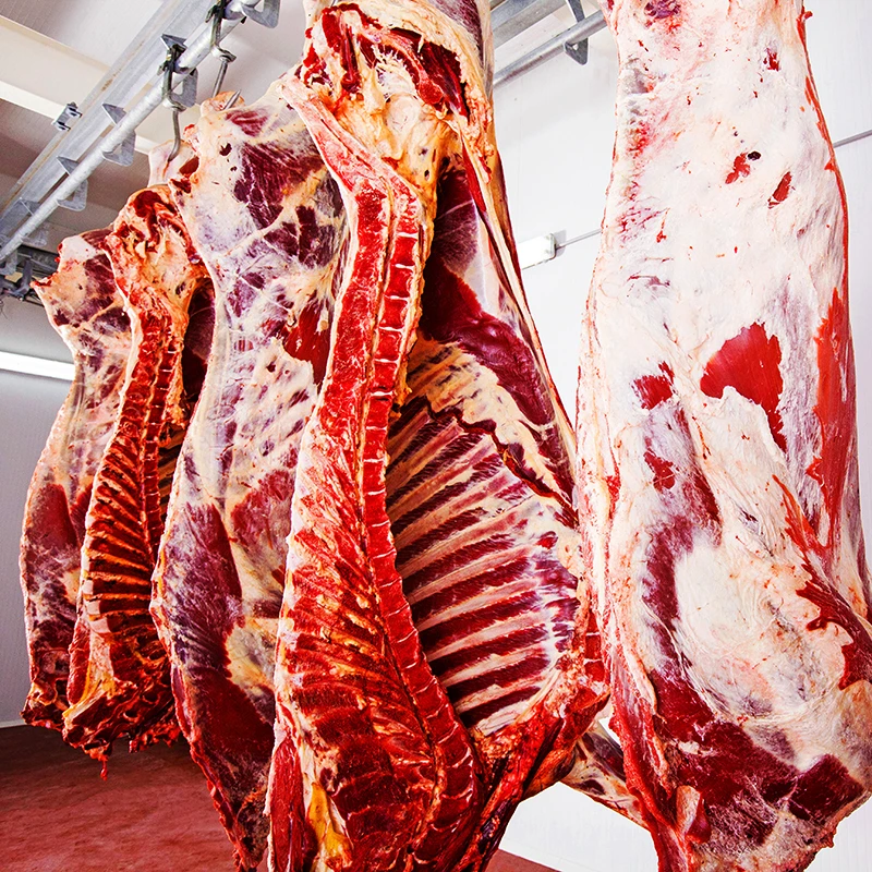 
Great taste Halal Beef Premium from Kazakhland 