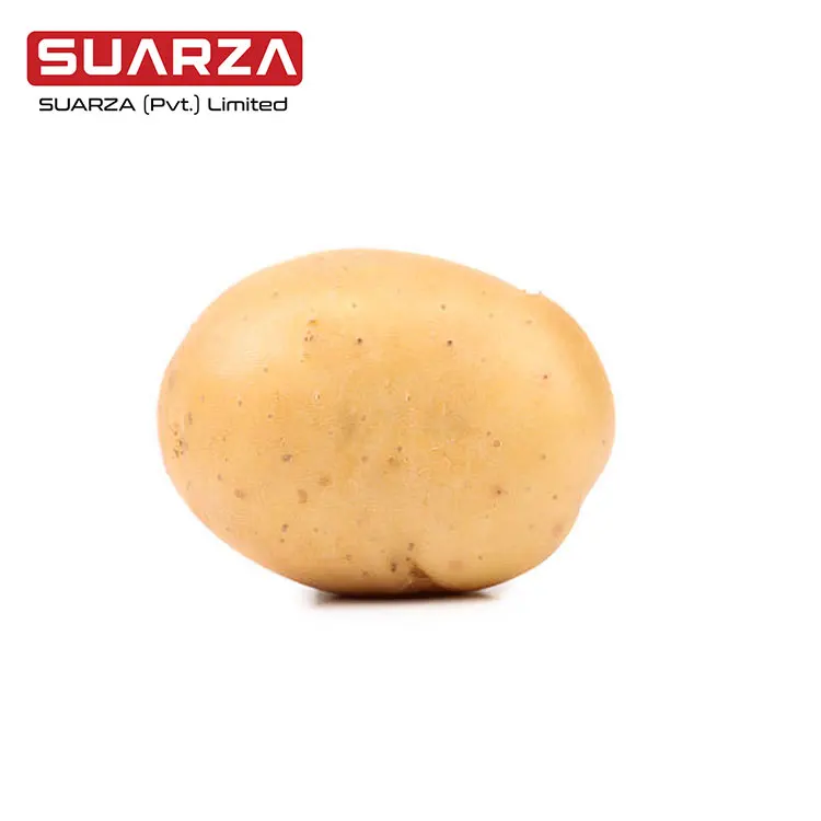 Горячая Распродажа, новый урожай свежего картофеля, оптовая цена