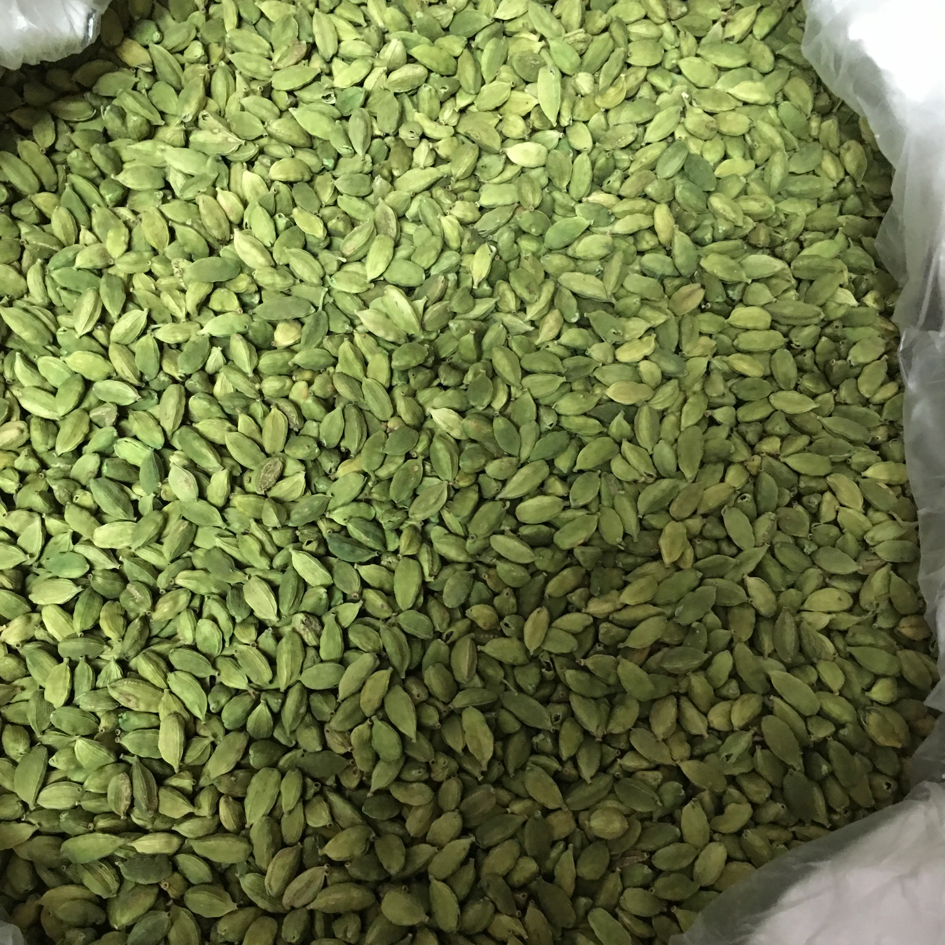 Green Cardamom 100% Indian Origin Premium Quality 7 MM Size for Germany Spices Seasonings on demand standard quality