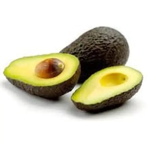 FRESH AVOCADO - PREMIUM QUALITY FOR SALE
