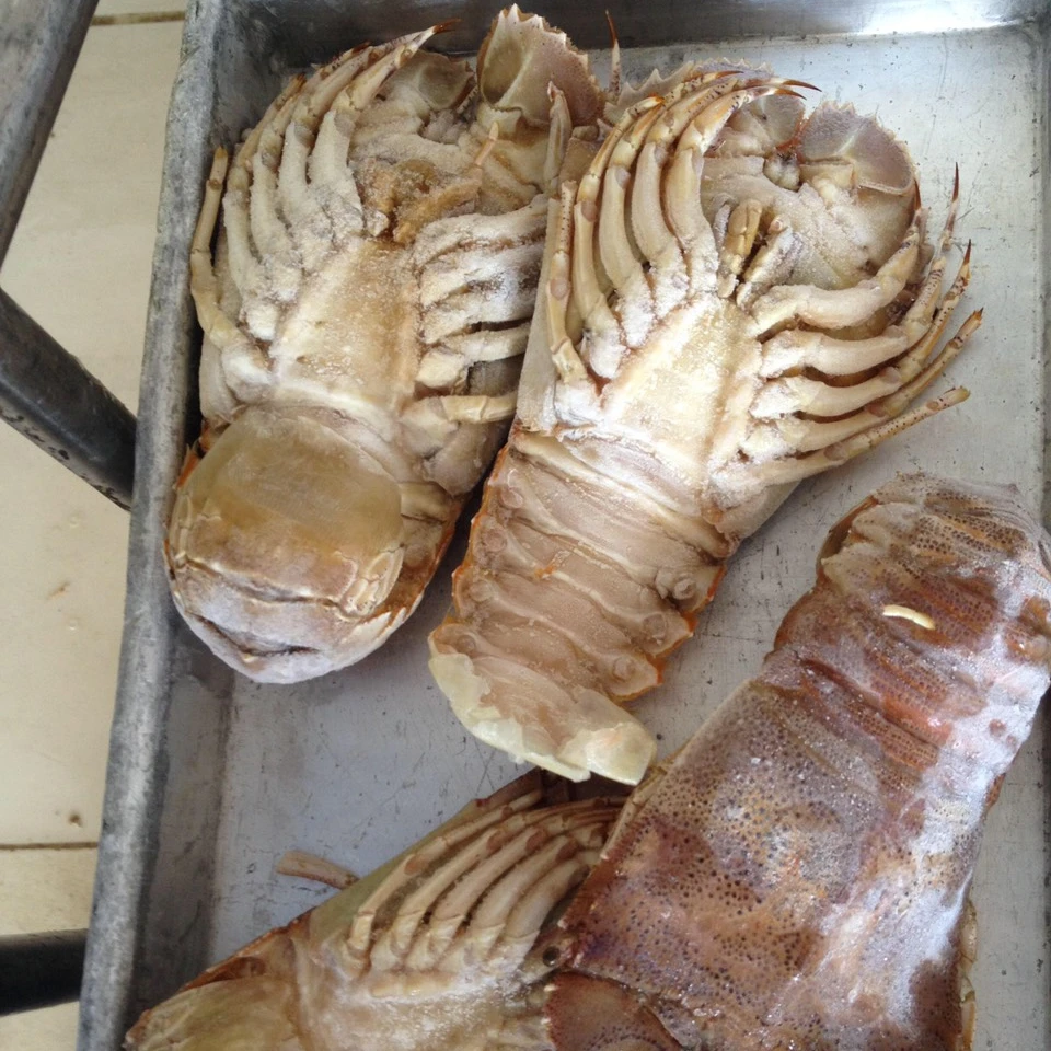 
Whole Fesh Slipper Lobster in Viet Nam 