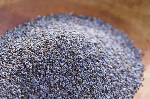 Turkish Blue Poppy Seeds
