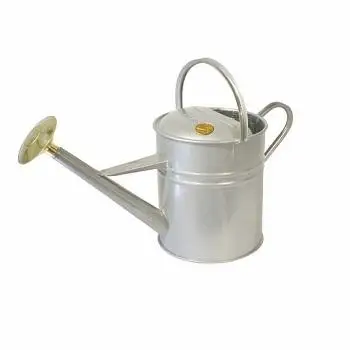 Оцинкованная Цветочная кастрюля ручной работы классический дизайн полив железа для дома и сада декоративный цветочный плантатор