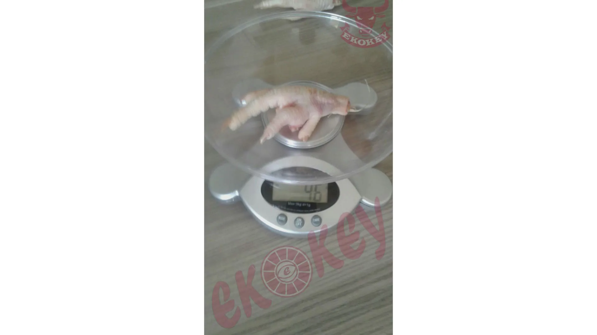 FROZEN CHICKEN PAWS JUMBO SIZE  FRESH FROZEN ALL CLEAN  AA   GRADE  39-48  G 20 KG CARTONS