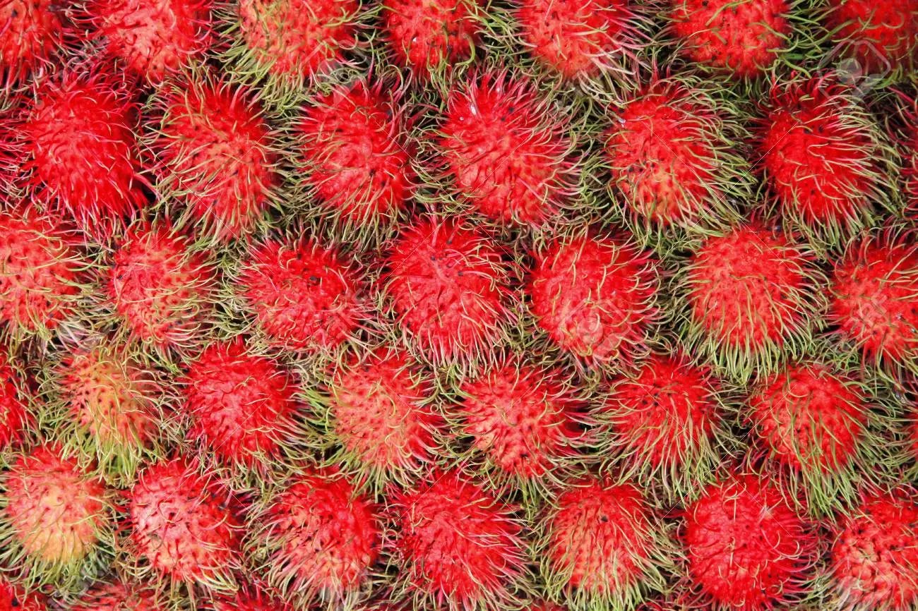 Type 1 Fresh Rambutan from Vietnam - Ms KiO HYUNH + 84 34 375 8904