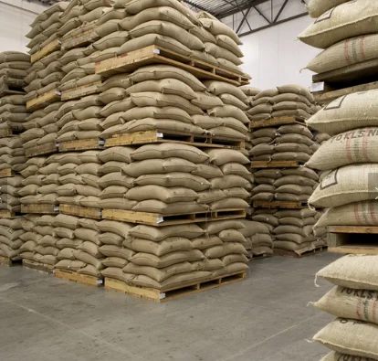 Ethiopian Arabica Coffee Beans/ Green