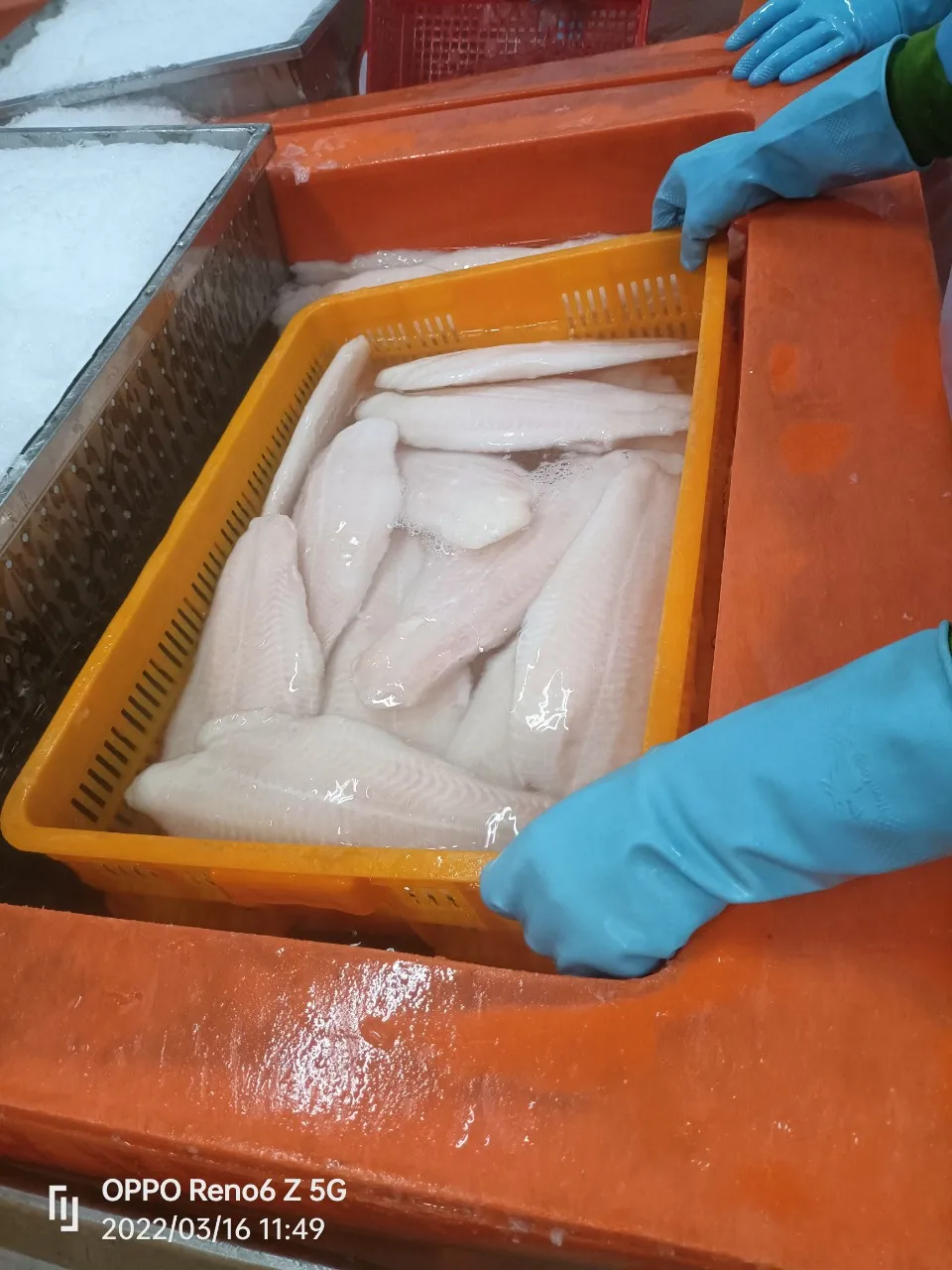 Best price Made in Vietnam Fresh Seafood Vannamei Shrimp HOSO at Good Price Frozen shrimp vannamei