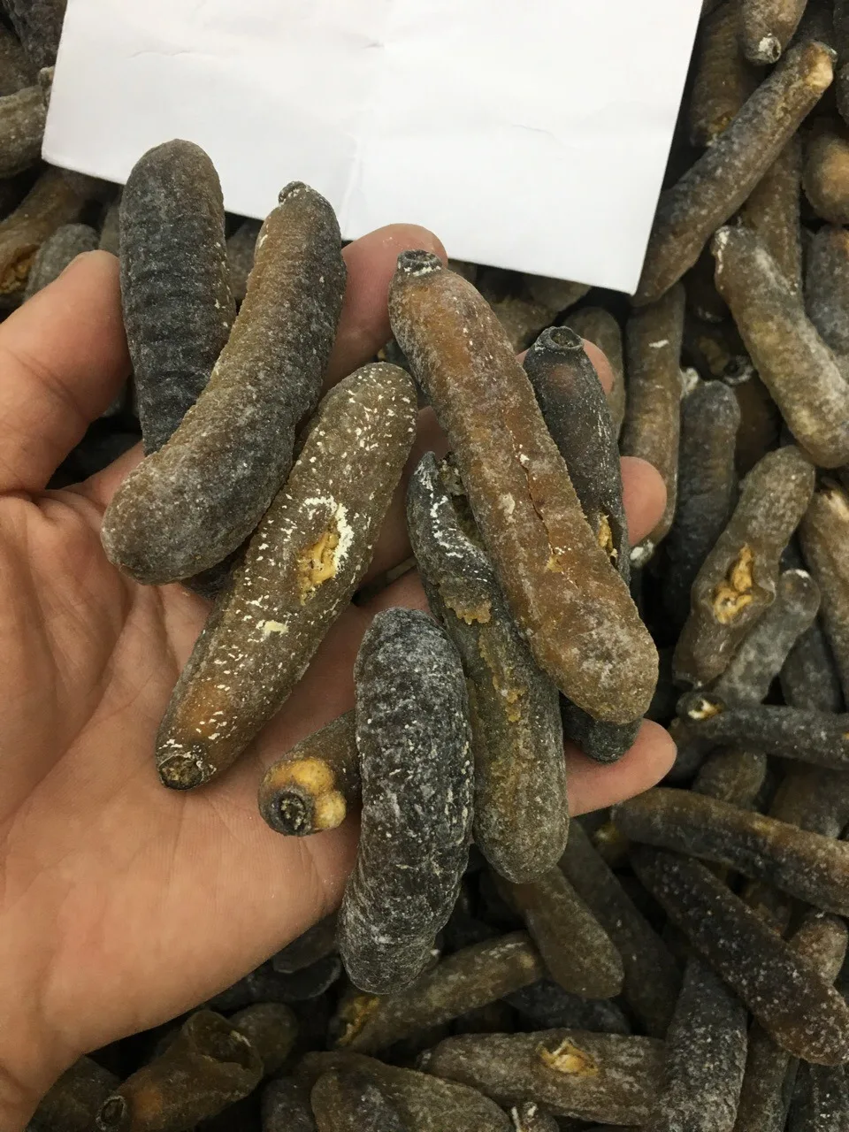  Высококачественный сушеный и замороженный лысой морской огурец на продажу