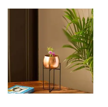 Copper Colored Simple Design Iron Planter For Garden Decor Green Plant Design Shiny Finishing Decor Colored Design