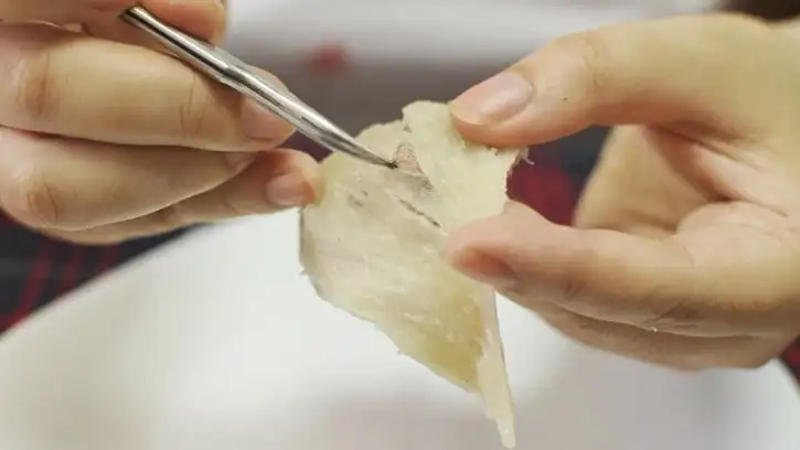 Птичье гнездо высокое качество производитель продукции из Вьетнама