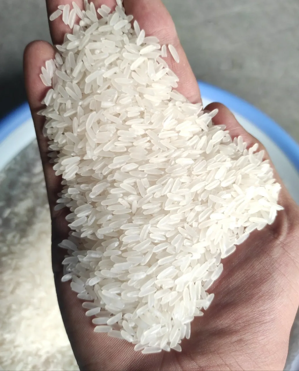 Rice (3).jpg