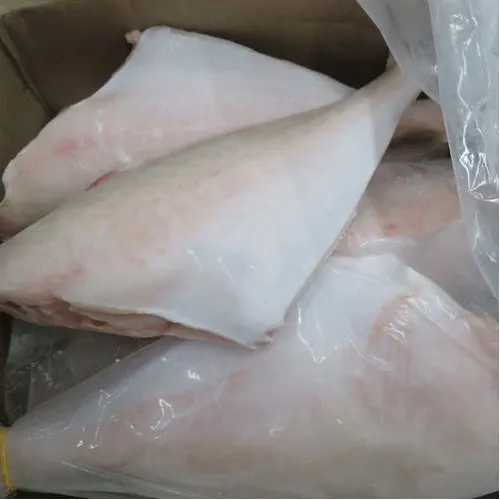 Frozen Leather Jacket Fish Hot Sale