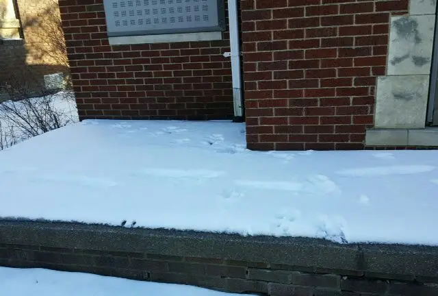 Snow Removal outsourcing Work Orders Processing