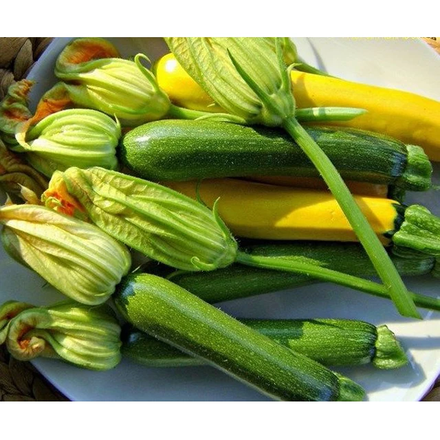 Baby Courgette/ Baby Zucchini100% Pure Natural - Export