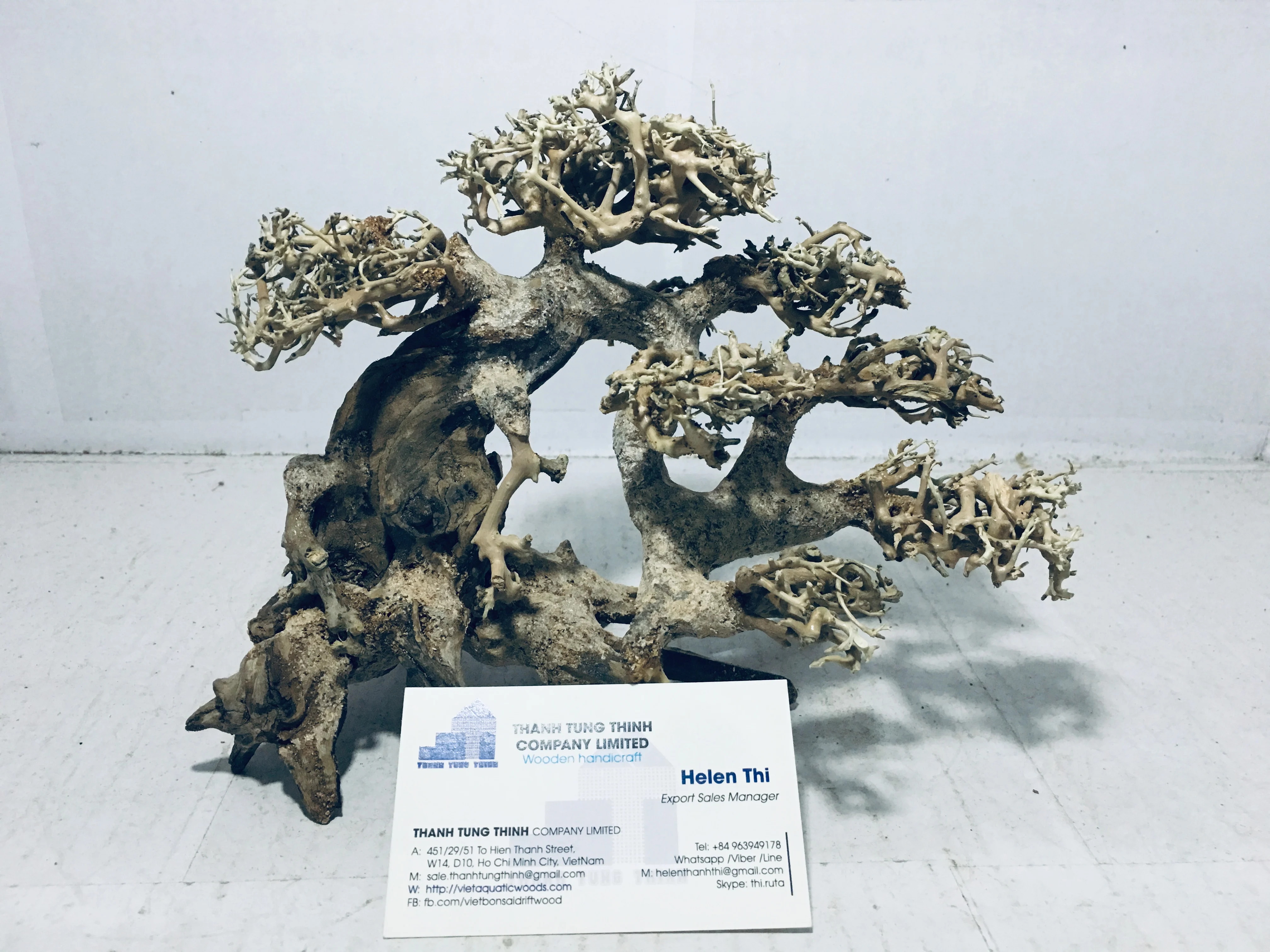Hot Items 2023 Aquarium Decoration Trunk Shape Bonsai Driftwood for Fish Tank Ornaments WhatsApp +84 961005832
