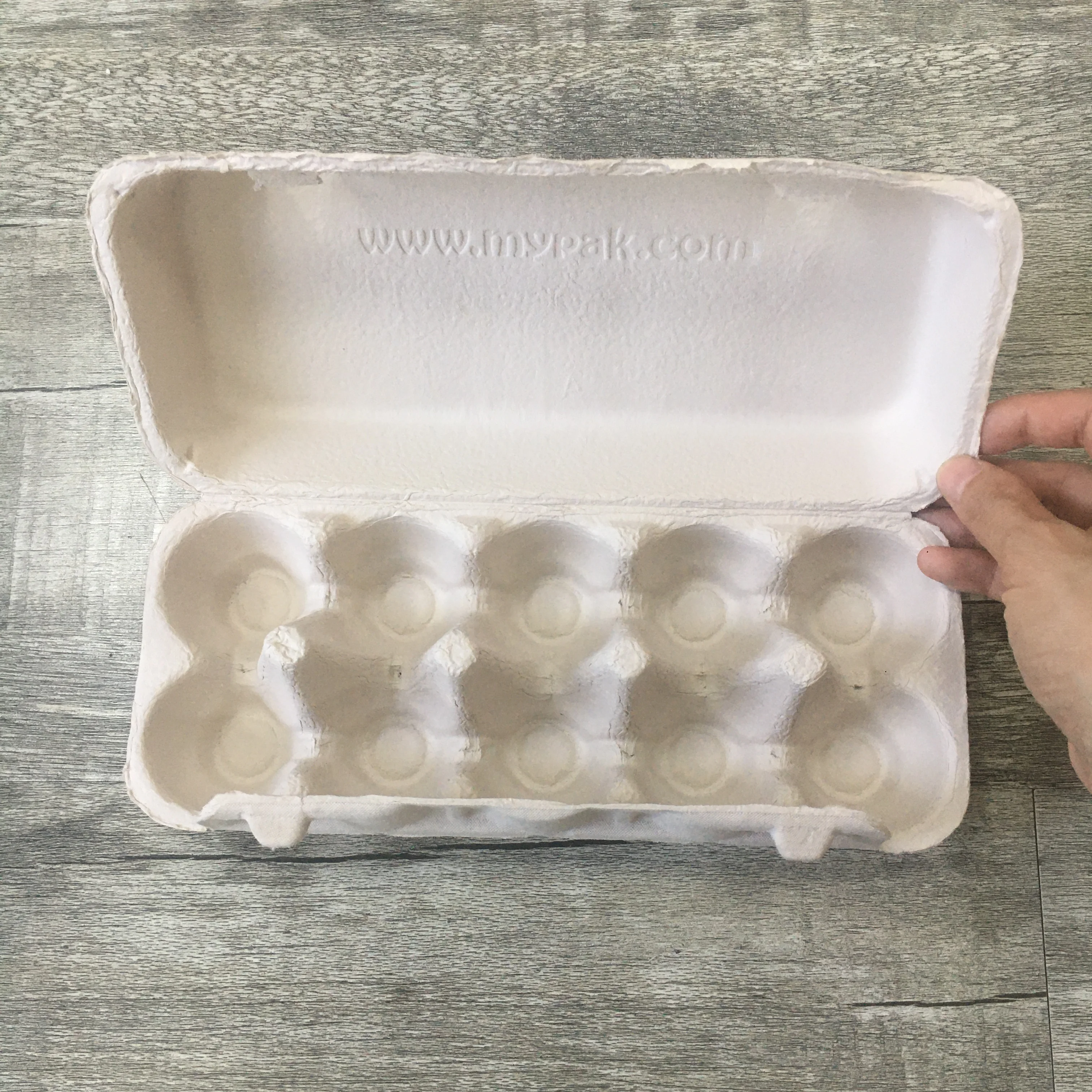 Eco-friendly egg tray  catton of 10 pulp molded box for egg