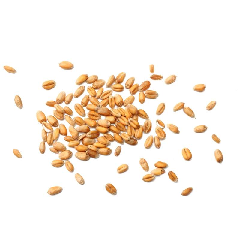 
Wheat High Quality 