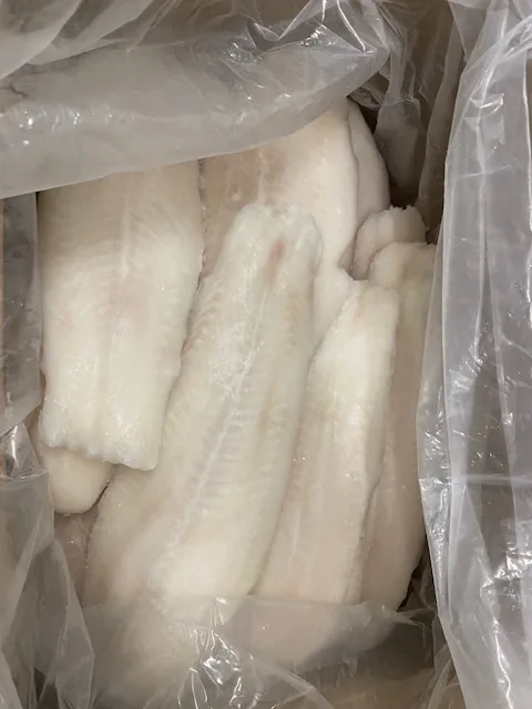 SUTCHI FILLET (2).jpg