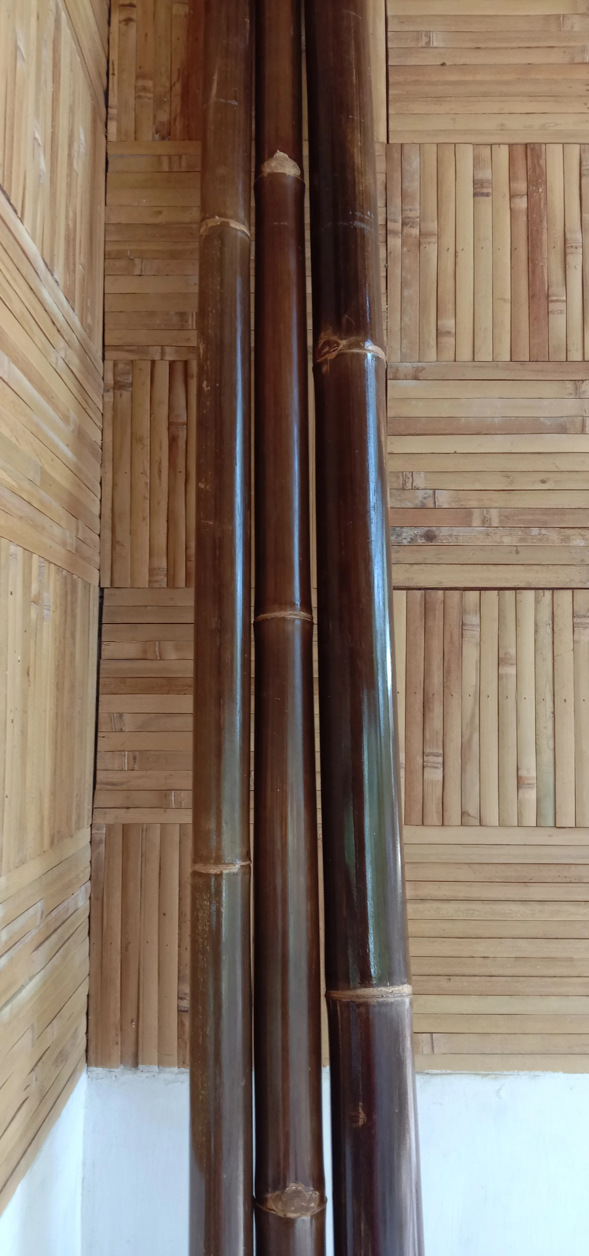 Высококачественный тропический черный бамбук из Индонезии, обработанный для строительства, 600 см