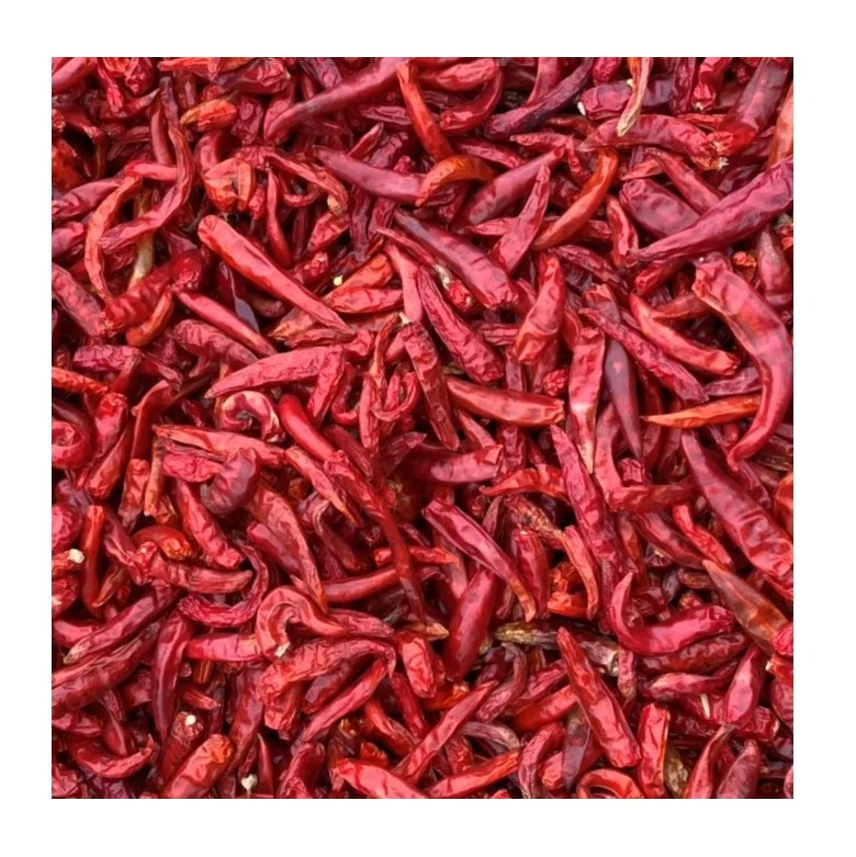 Dried Red Chili Single Spices Chilli High Quality Top Product Of Vietnam