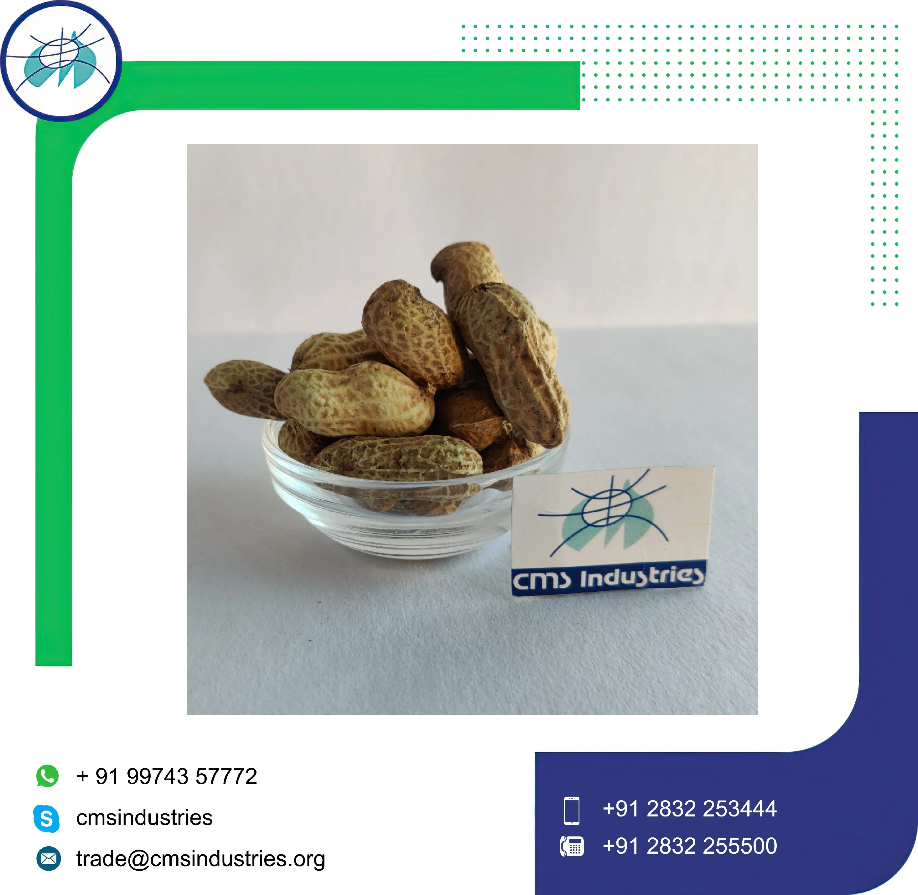 Надежный поставщик заземляющих гаек в корпусе