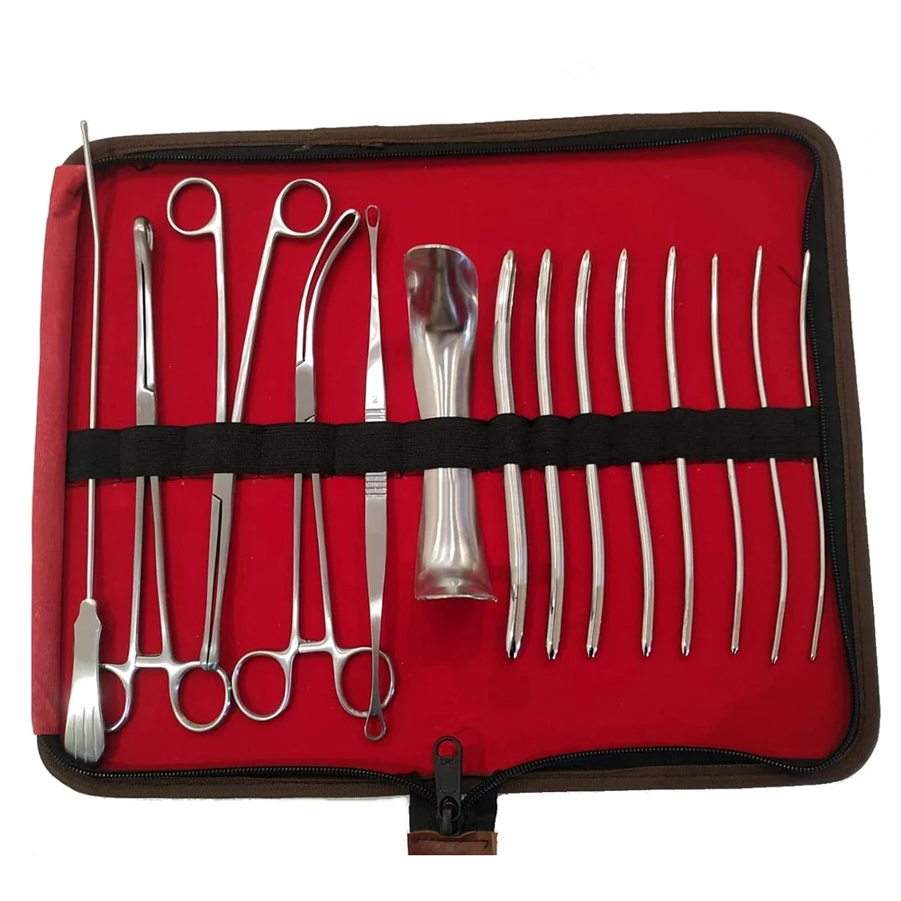 Базовый D & C хирургический набор для Gynae с чехлом