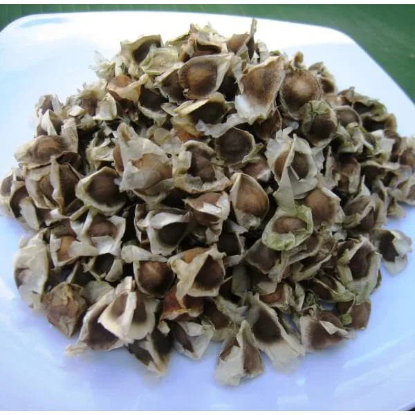 Wholesale Moringa Seeds Factory Price Moringa Seeds