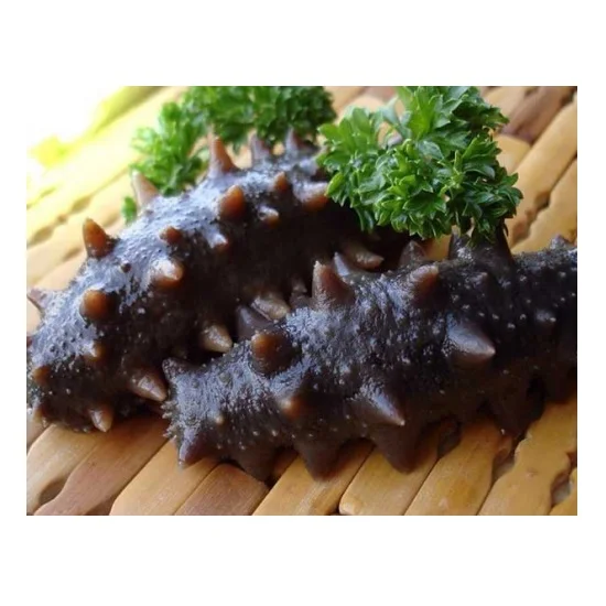 SUPPLIER DRIED SEA CUCUMBER HIGH QUALITY WHITE TEAT FISH CHEAP PRICE ELEPHAN TRUNKFISH FROM VIETNAM